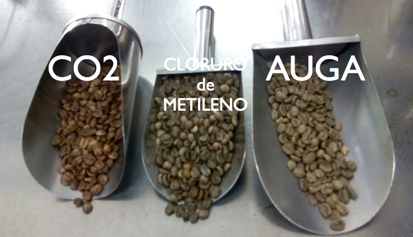Resultados dos procesos de eliminación da  cafeína por CO2,  Cloruro de  metileno, e auga