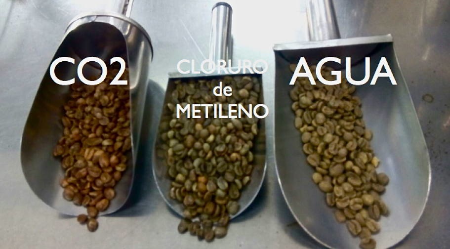 Resultados de los procesos de eliminación de la cafeína por CO2, Cloruro de metileno, y agua